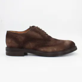 Men's Oxford Brogue in Calf Leather Suede Antilope (MER6650)