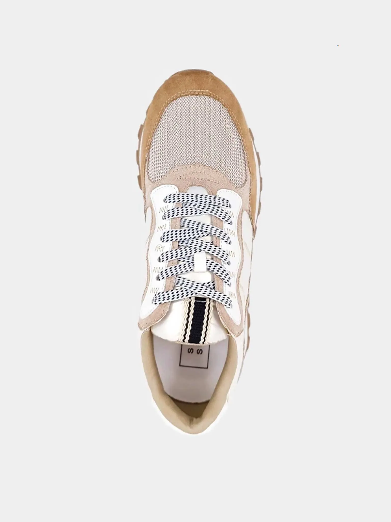 Phoebe Sneaker in Camel